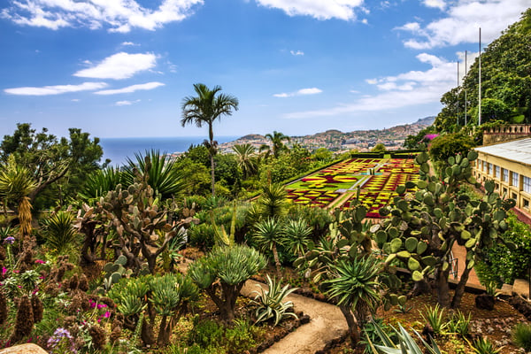 Aerial view of Funchal harbour and old town at golden hour, with terracotta rooftops, cruise ships in the marina and Cabo Girão cliffs in the distance, Madeira
